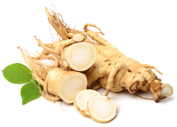 Sibirisk ginseng